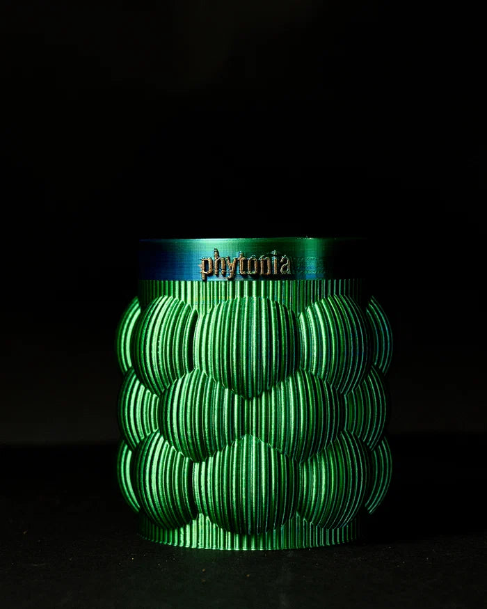 Self-Watering Vase