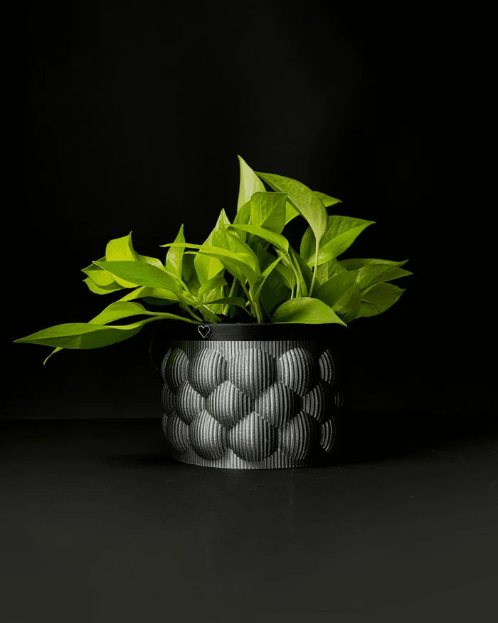 Self-Watering Vase