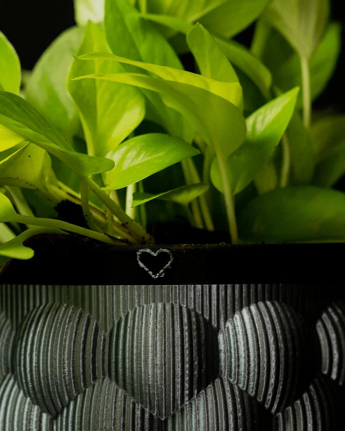 Self-Watering Vase