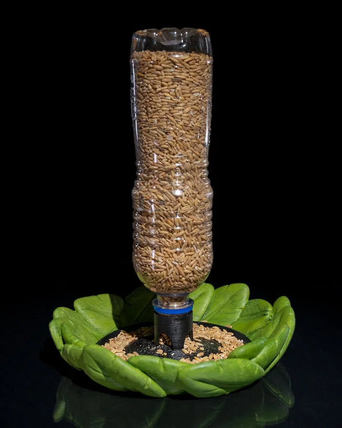 Bird Feeder in Disguise