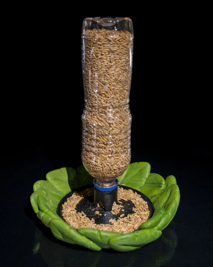 Bird Feeder in Disguise