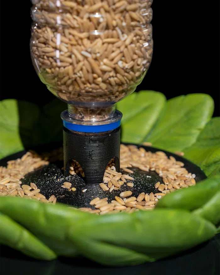 Bird Feeder in Disguise