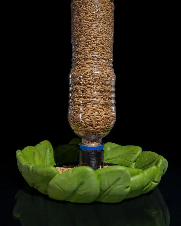 Bird Feeder in Disguise