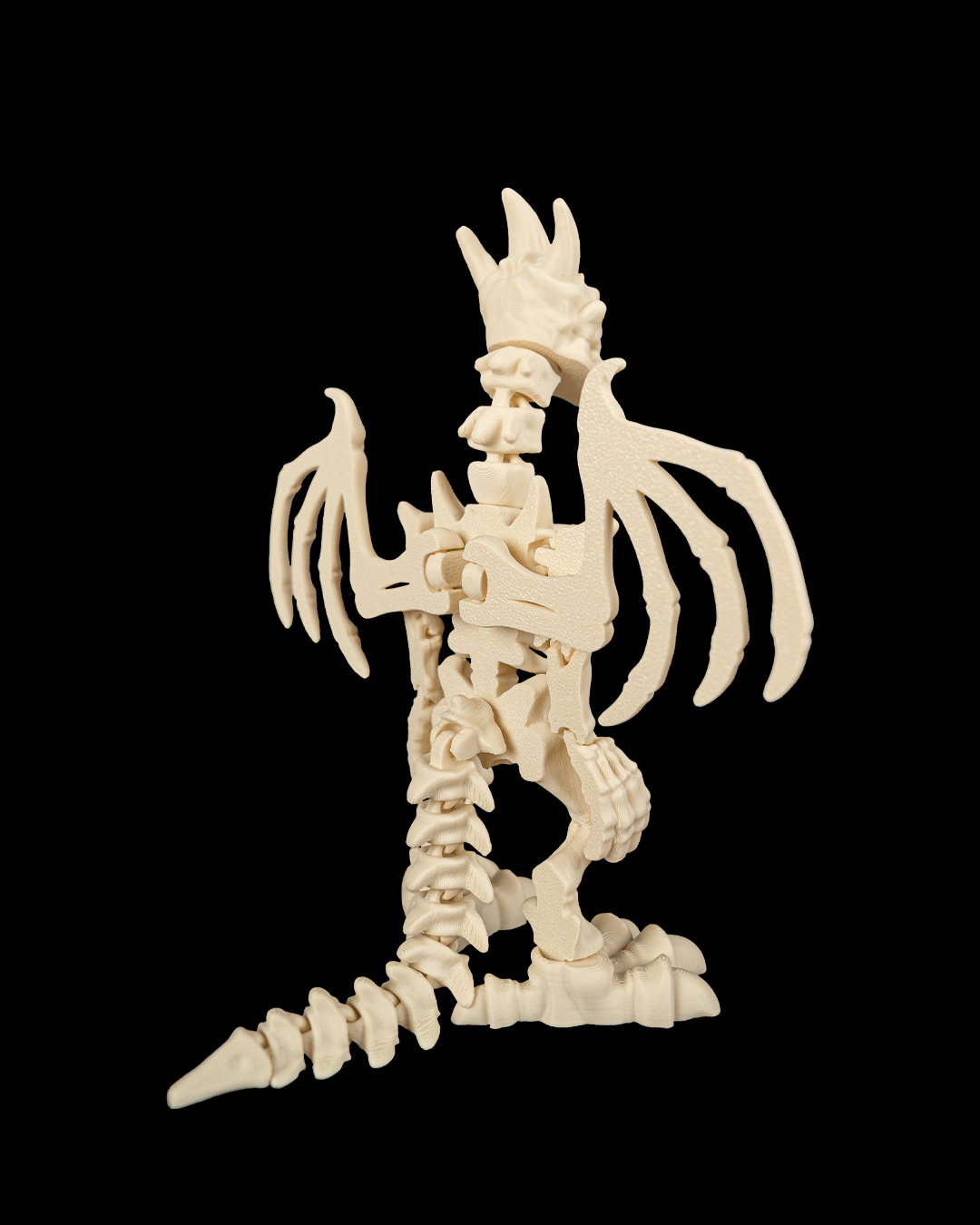 Bone Dragonborn 3