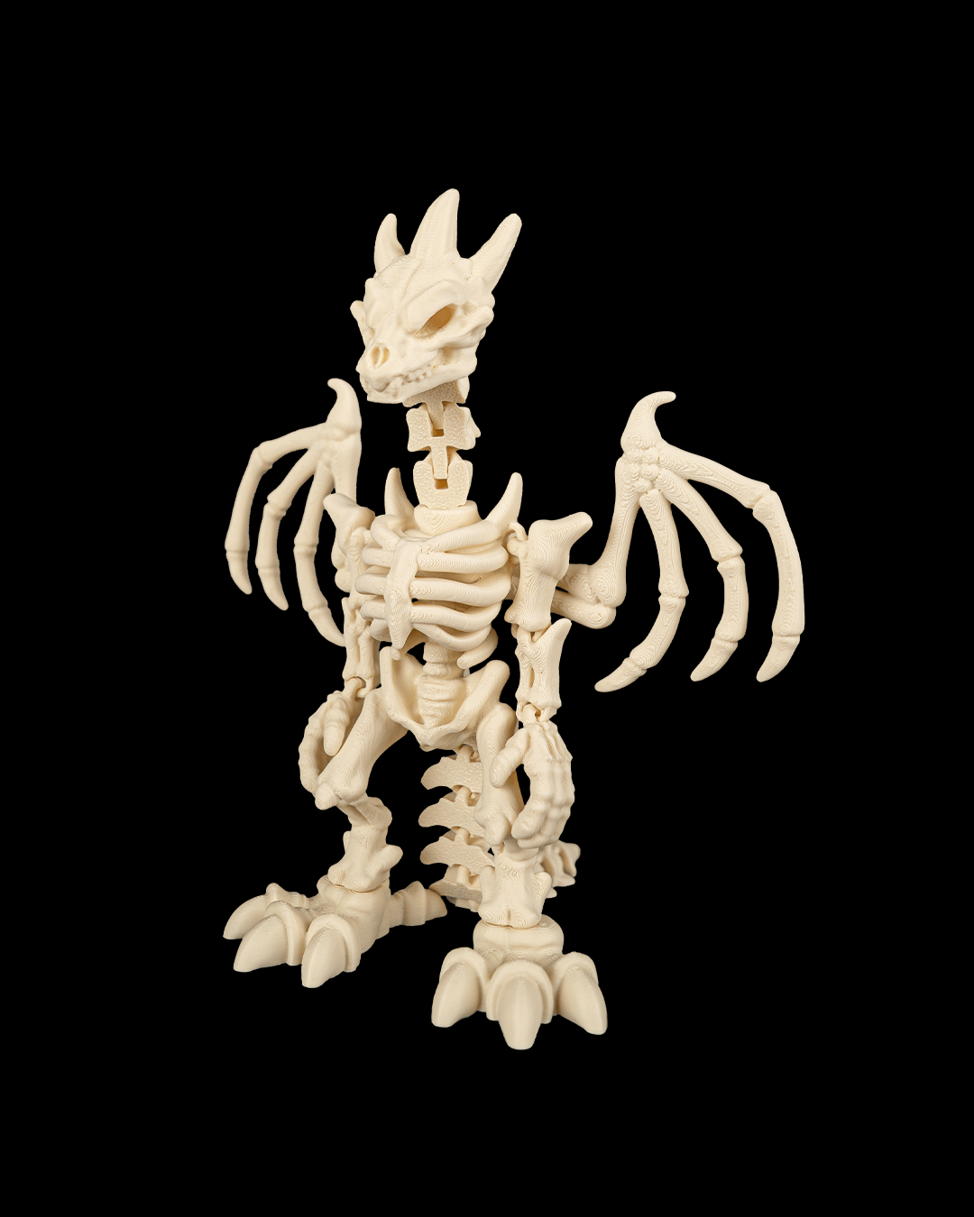 Bone Dragonborn 5