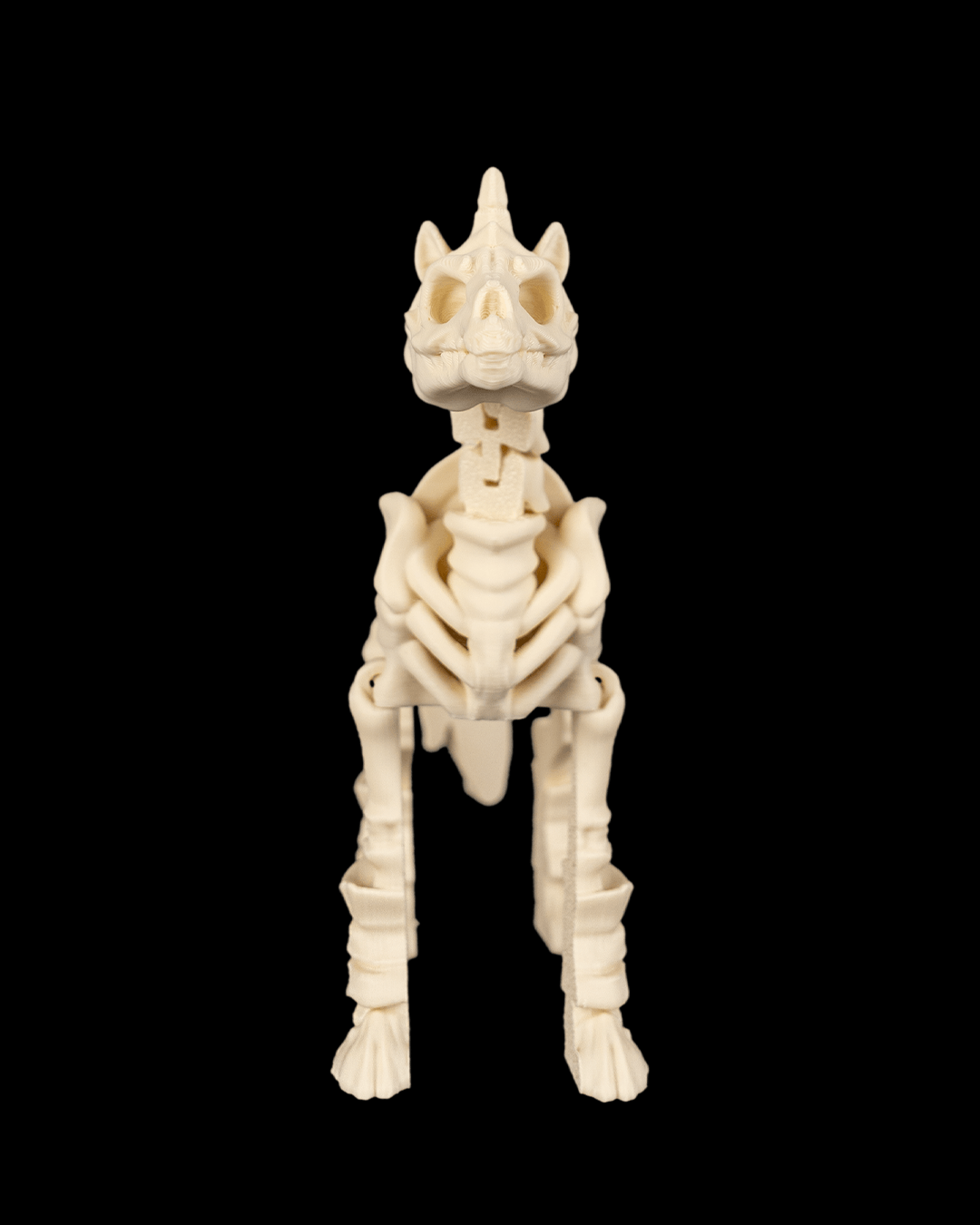 Boneback Steed - view 4