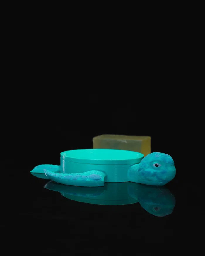 Sea Turtle Soap Dish