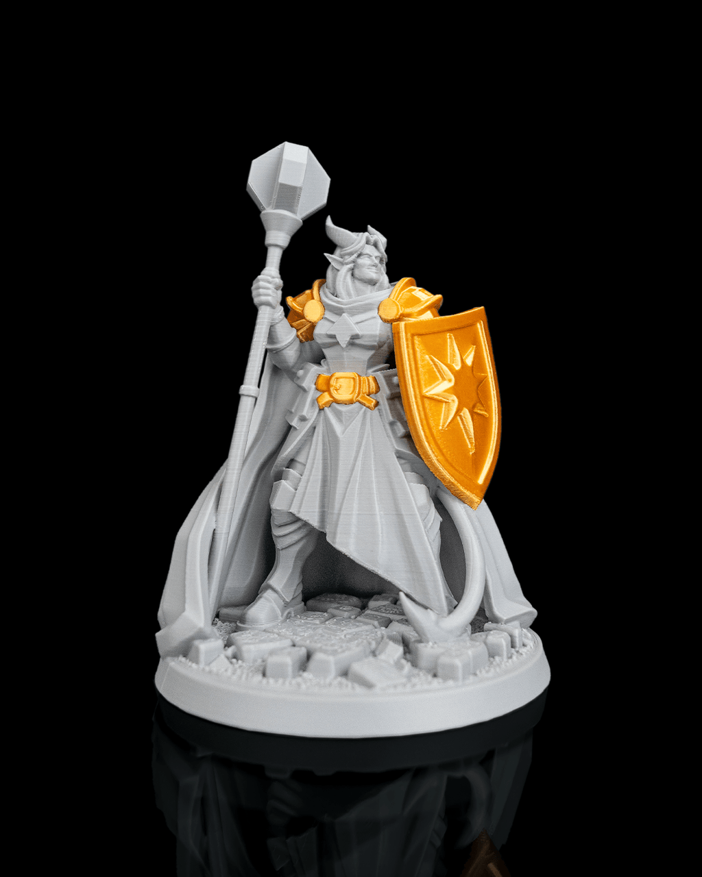 ironvow-paladin product view 4