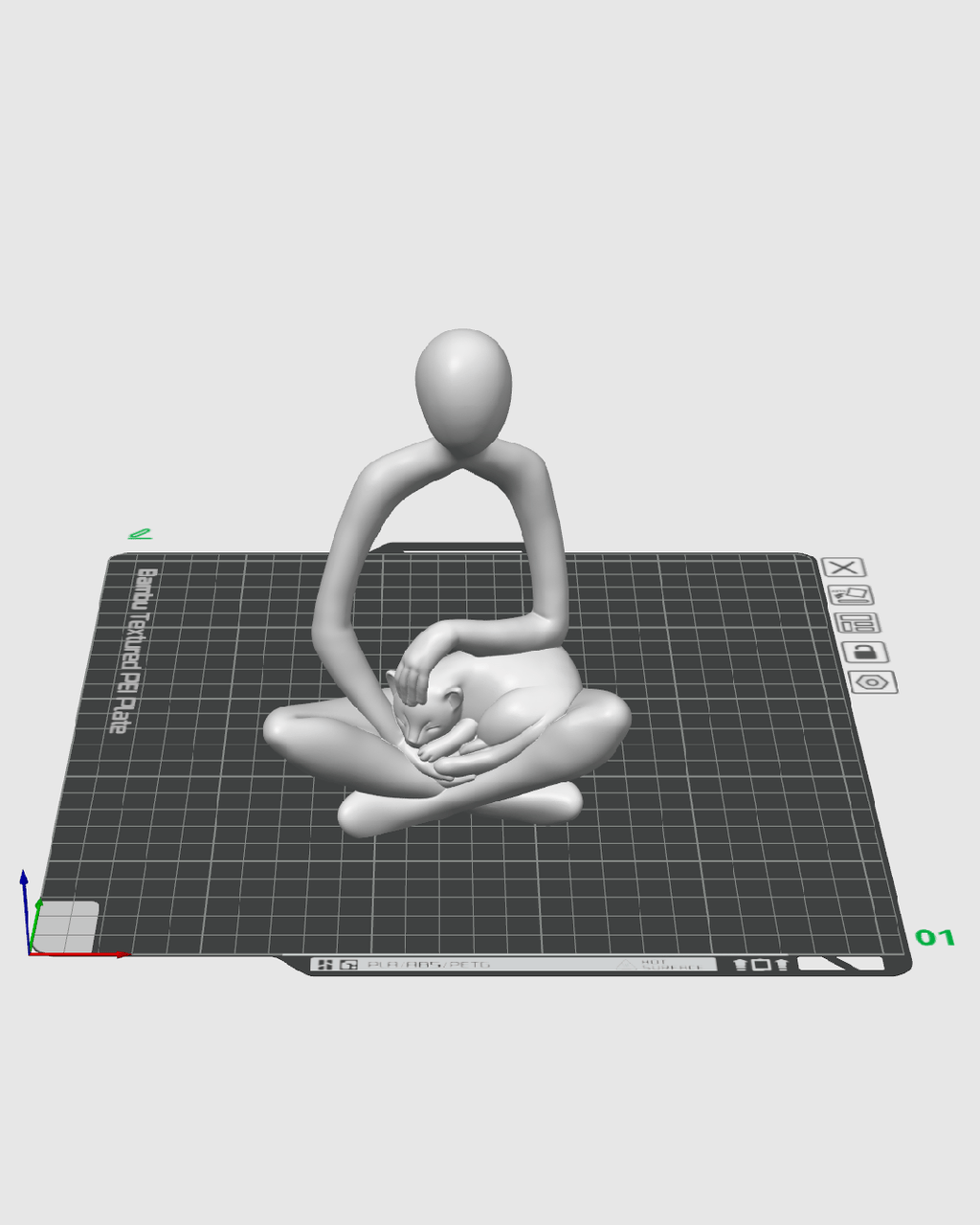 lap-cat product view 2