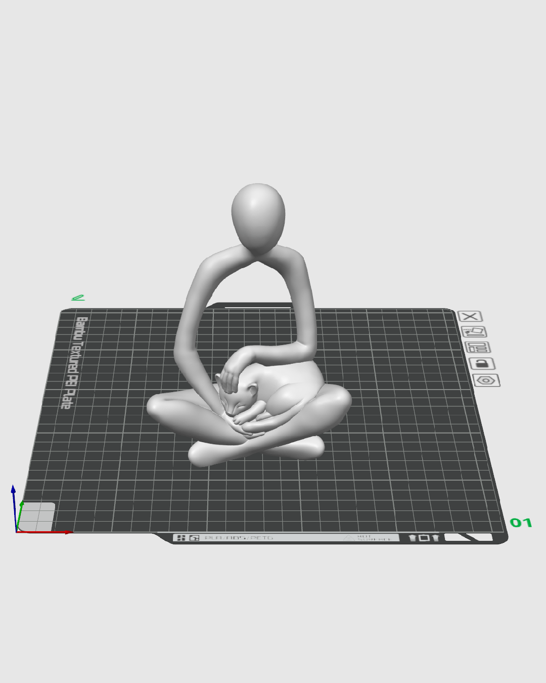 lap-cat product view 2