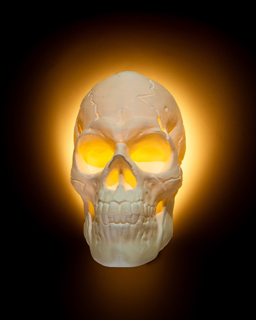 Light Headed Wall Light product photo 2