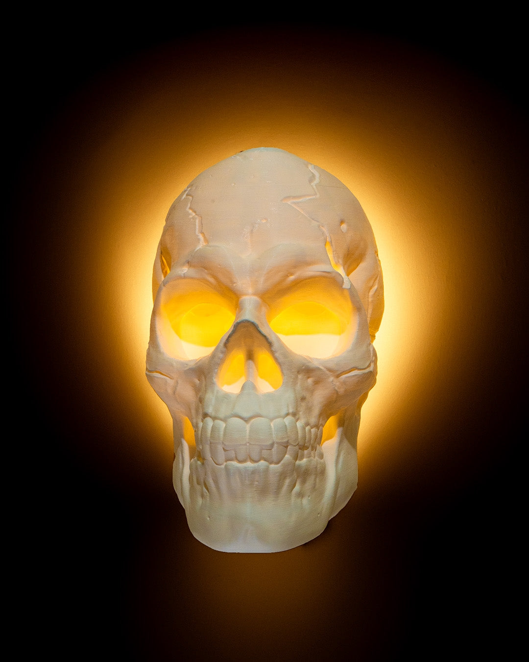 Light Headed Wall Light product photo 2