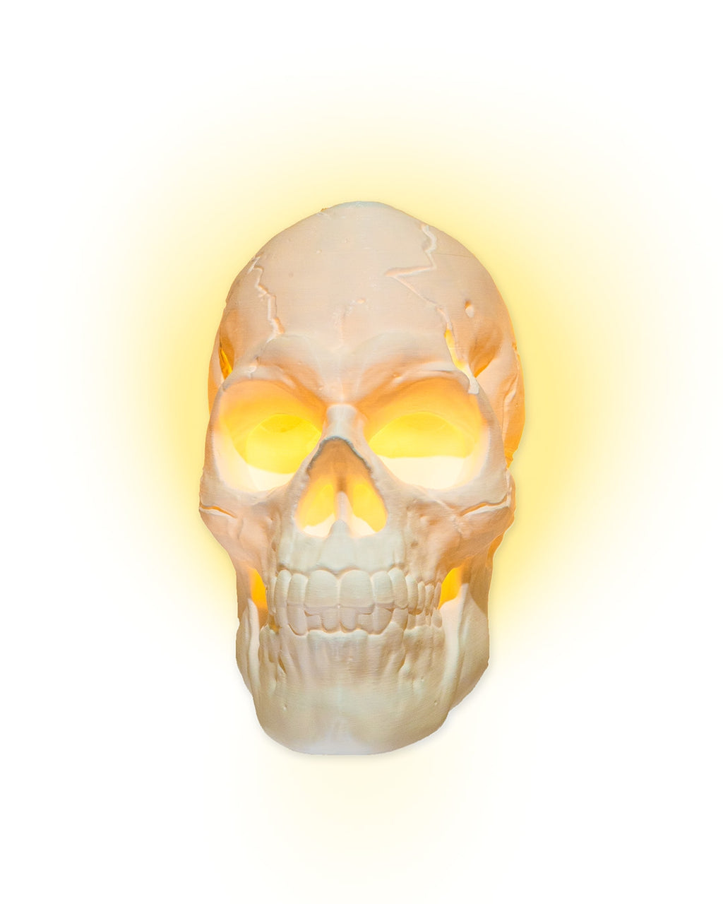 Light Headed Wall Light product photo 1