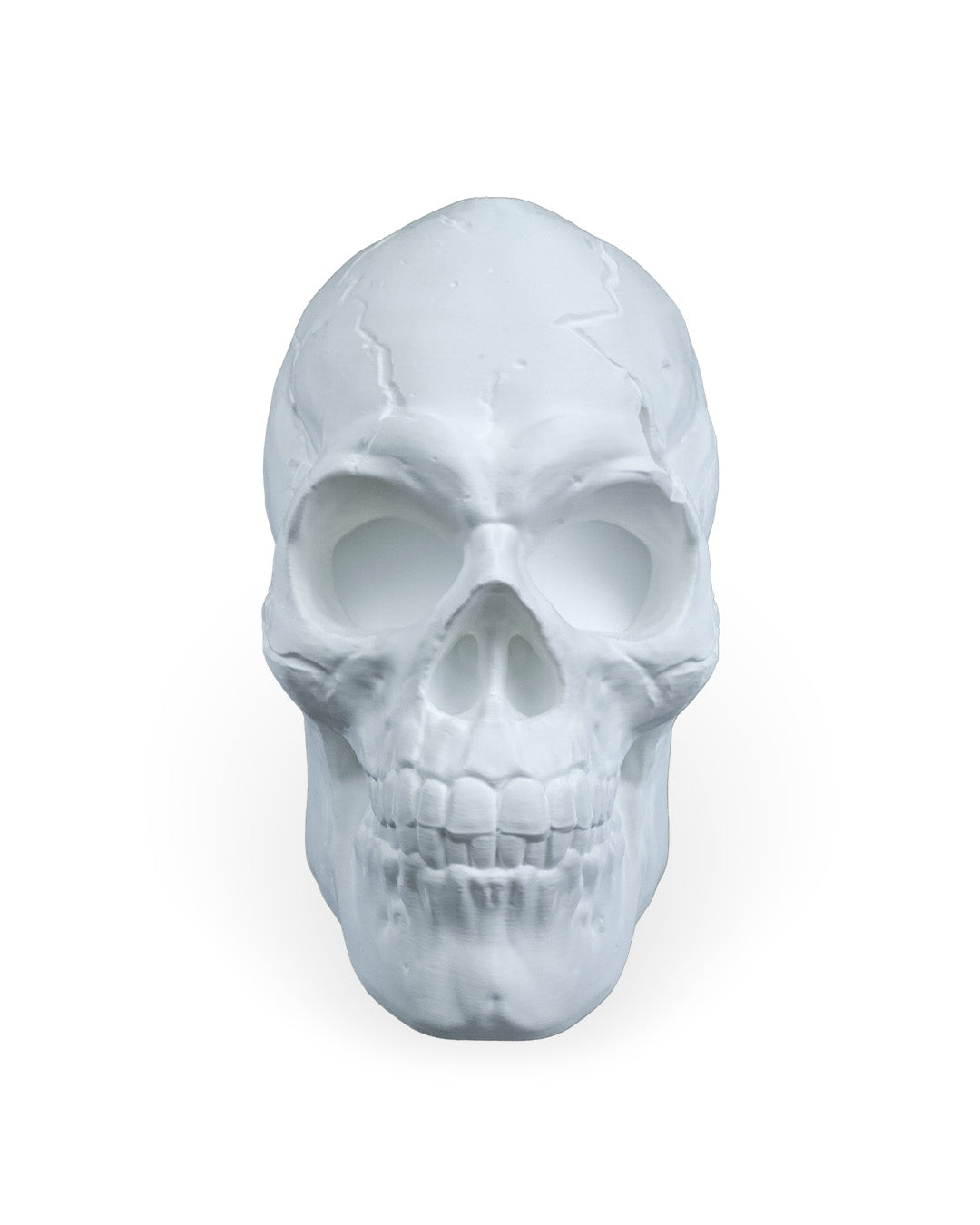 Light Headed Wall Light product photo 3