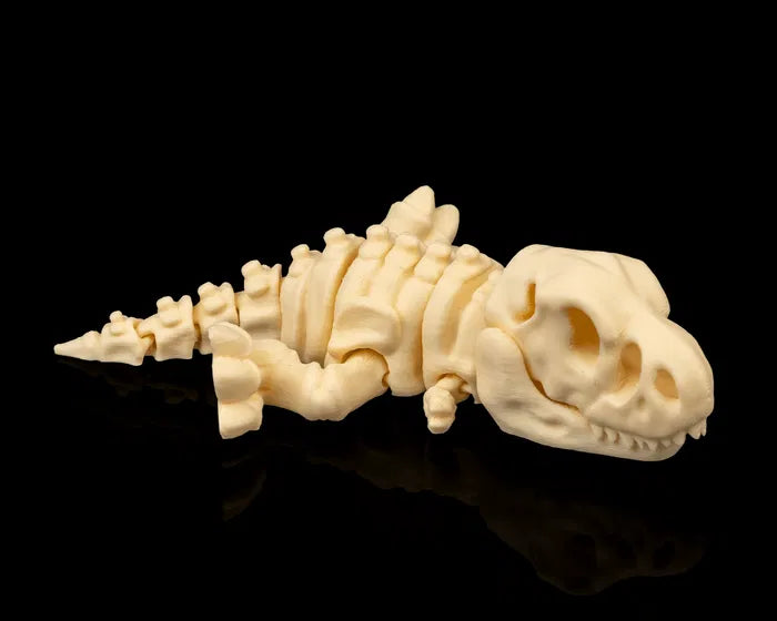 Skeleton T-Rex product image 2