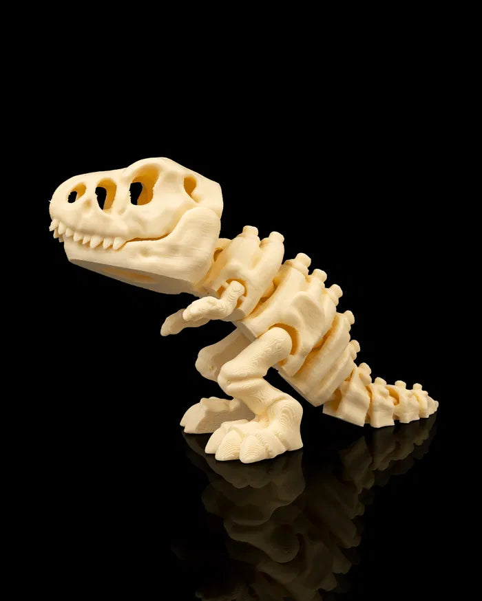 Skeleton T-Rex product image 3
