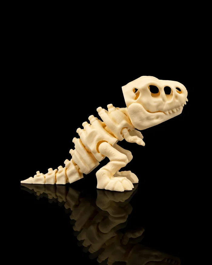 Skeleton T-Rex product image 4