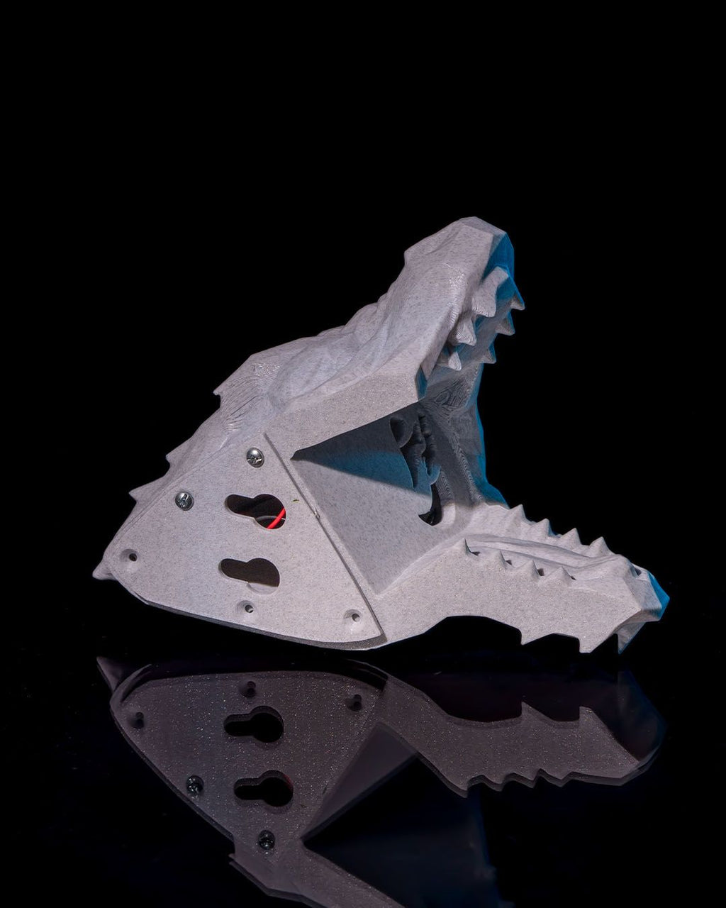 The Dragon product image 5