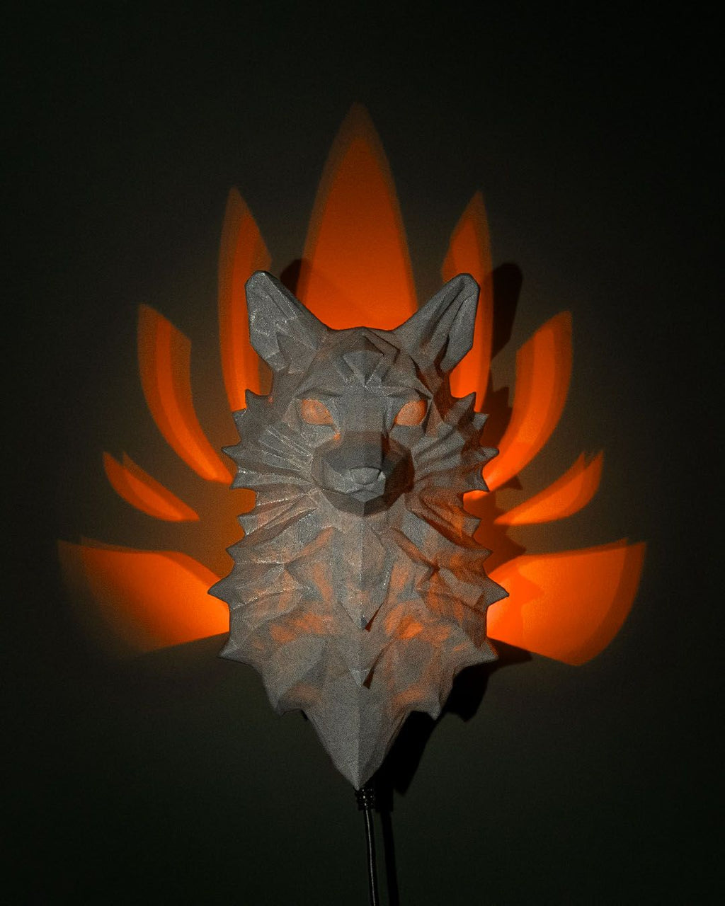 The Nine-Tailed Fox product image 1