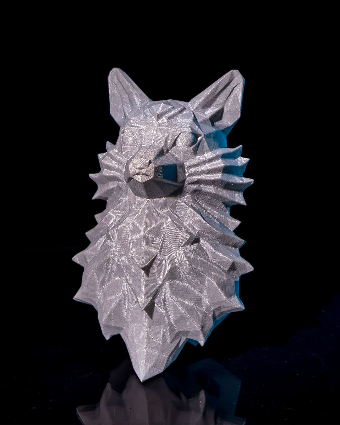 The Nine-Tailed Fox product image 2