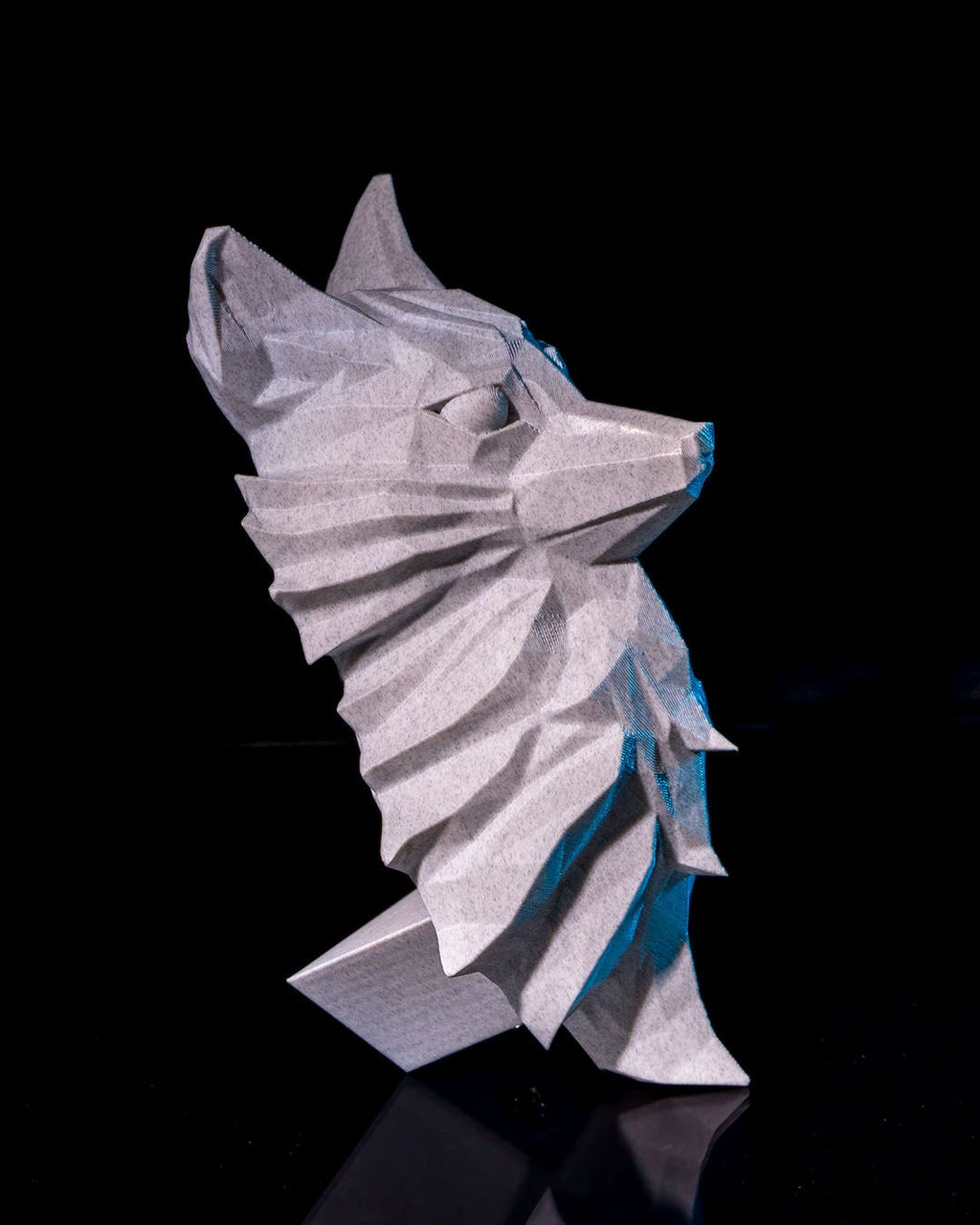 The Nine-Tailed Fox product image 3