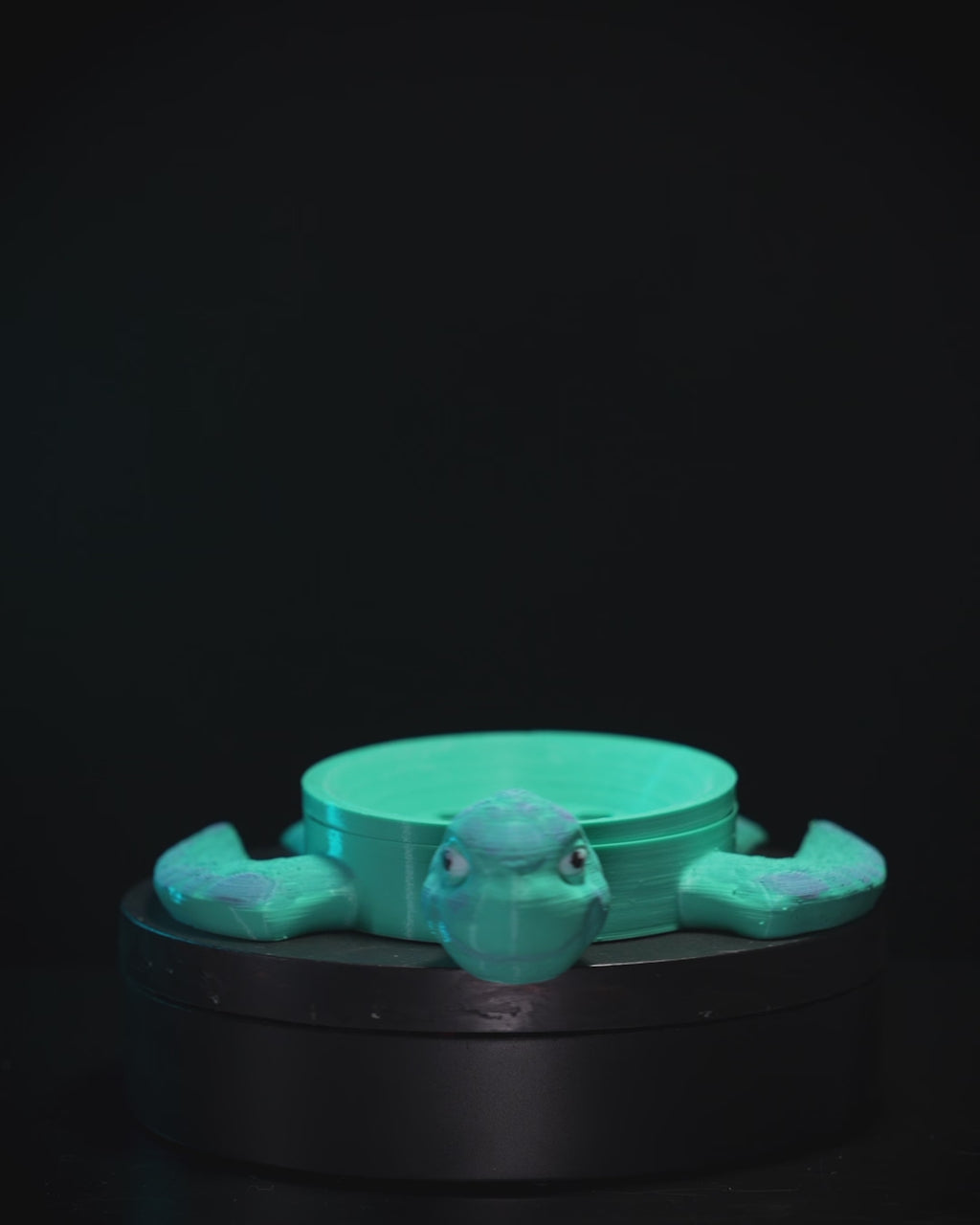 Sea Turtle Soap Dish